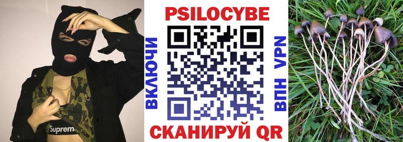 Псилоцибиновые грибы GOLDEN TEACHER  Кушва 